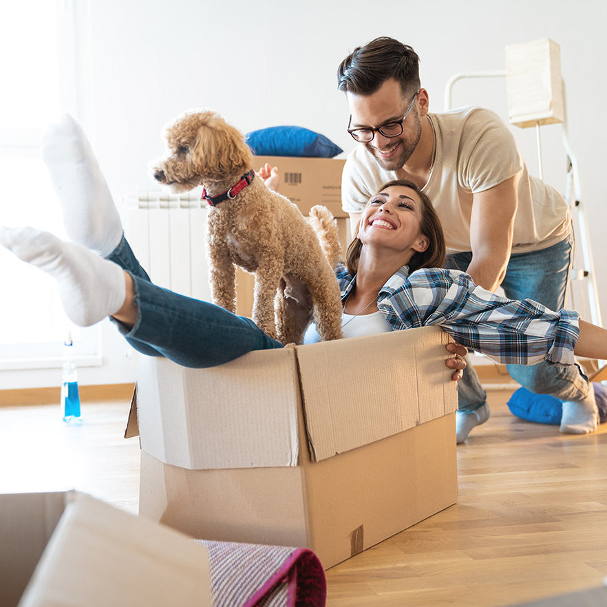 Photo of dog and woman in a box