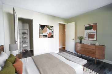 Bedroom with walk-in closet