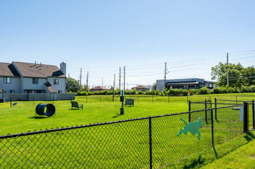 Avery Point - Pet Park
