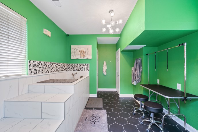 Apartment pet spa with lime green walls, a sink for bathing animals, and a black tiled floor