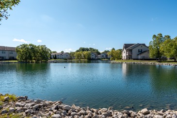 BriceGrove Park - Pond