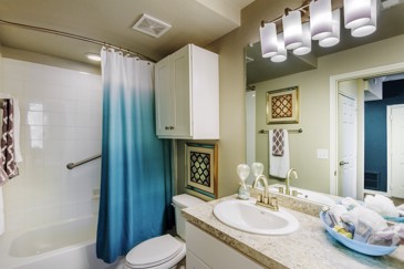 The Delano at North Richland Hills - Bathroom