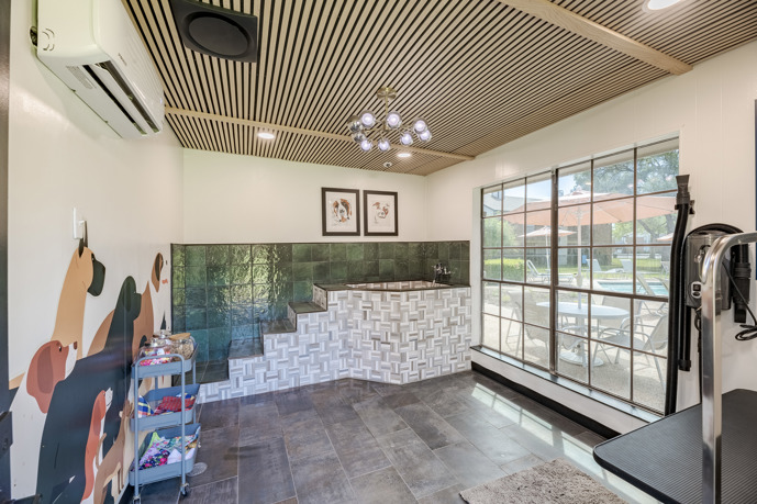 Pet spa featuring tile floors, an elevated wash station, a high-velocity dryer, and ample natural light from windows.
