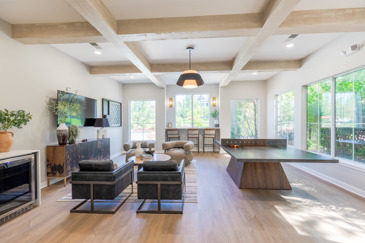 The Oasis - Game Room