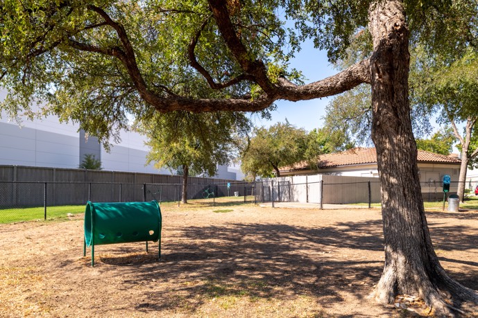 The enclosed dog park featuring canine agility equipment and a sprawling tree for shade at Pointe at Vista Ridge.