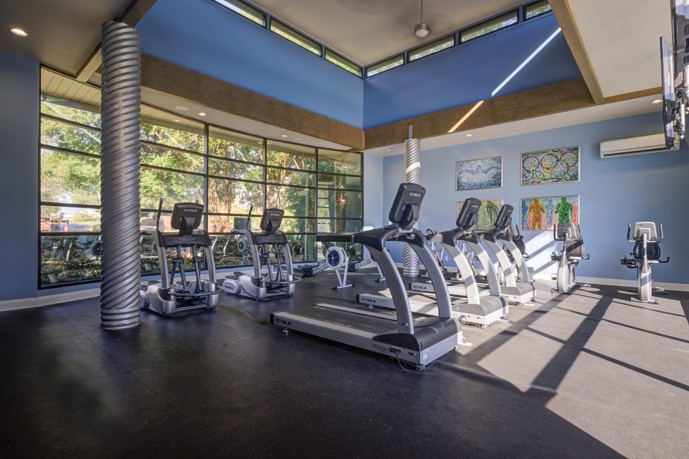 Indoor community fitness center with a row of exercise equipment in front of a wall of windows, a row of treadmills, and blue walls