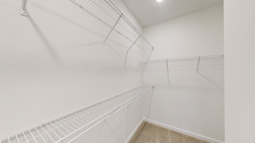 Waterstone at Brier Creek - Closet
