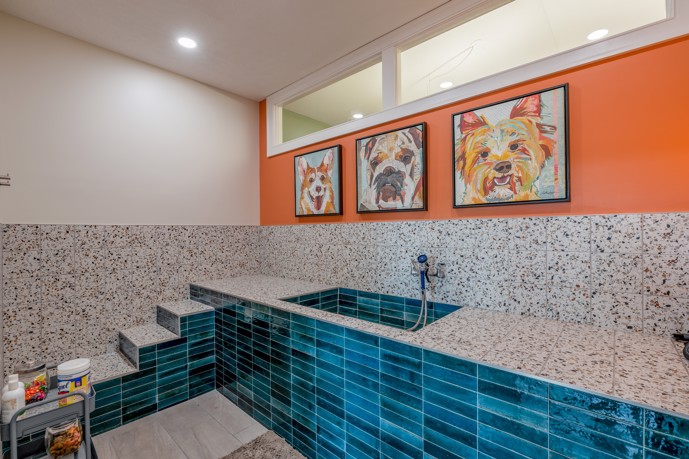 Luxurious pet spa, showcasing stairs leading to an elevated wash station surrounded by tiled walls.