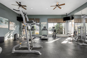 Avenues at Craig Ranch - Fitness Center