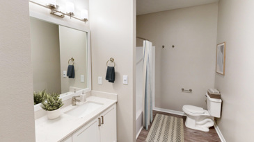Mallard Crossing - Bathroom