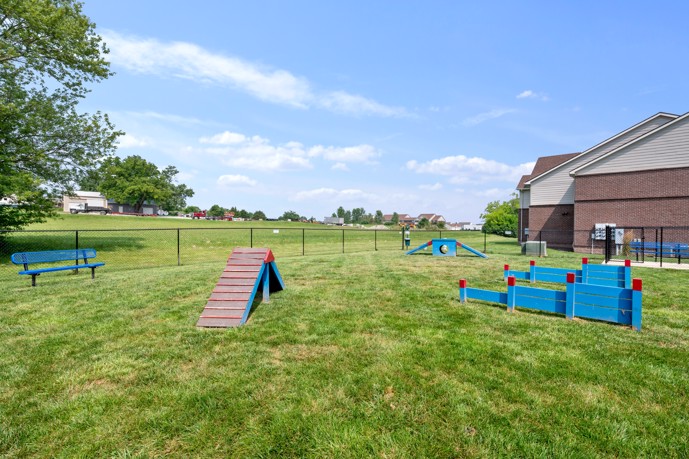 A gated dog park featuring lush grass, a bench, and agility equipment.