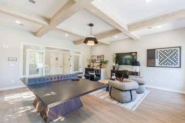 The Oasis - Game Room