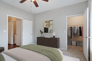 Carpeted grey apartment bedroom with one door opening to the closet and another to the hallway