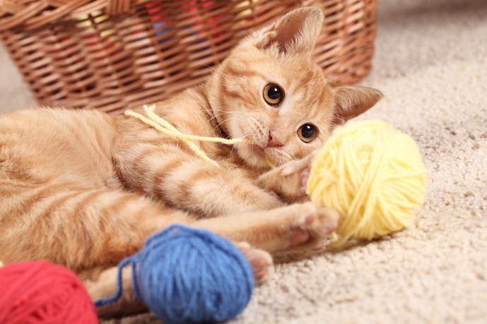The cat is lying on a carpet floor, playing with a ball of yarn.