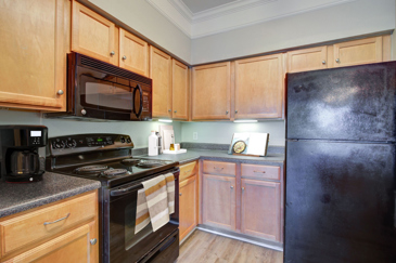 Empty open floor plan apartment with hardwood floors, grey walls, a ceiling fan, and a kitchen in the background