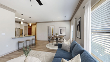 Avenues at Craig Ranch - Living Room