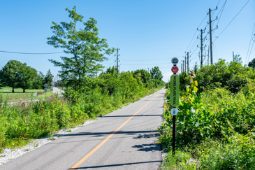 Avery Point - Walking Trail