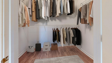 Walk-in Closet