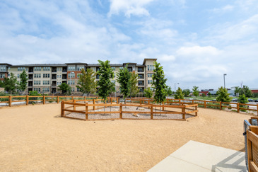 Destination at Arista - Dog Park