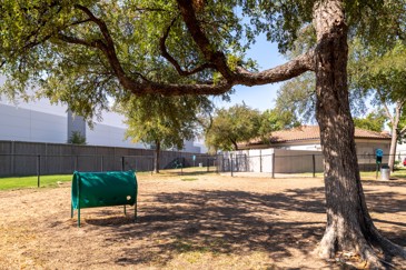 The Pointe at Vista Ridge features a fenced dog park with shaded areas provided by trees, along with pet tunnels for playful activities, ensuring a pleasant environment for pets and their owners alike.