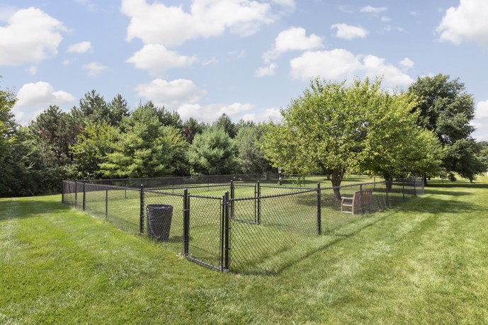 Outdoor fenced-in dog park on a green lawn surrounded by trees on a sunny day