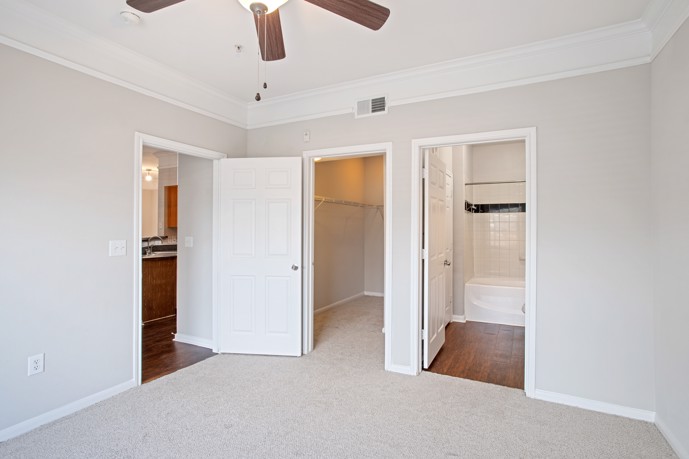 Empty carpeted apartment with three open doors, one to the closet, one to the bathroom, and one to the bathroom
