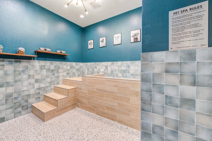 Pet spa with painted blue walls, grey tiles ,and stairs leading to a pet bath