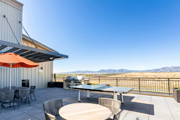 Gather, Grill, and Gaze