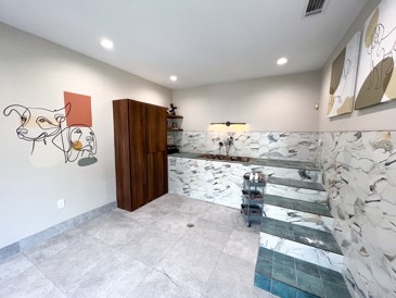 The Pointe at Vista Ridge - Pet Spa