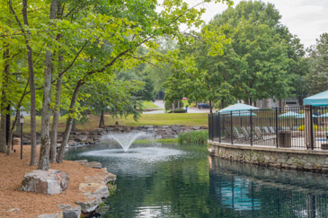The Views of Music City - Pond