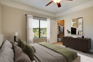 Empty carpeted apartment bedroom with grey walls, a large window, ceiling fan, and open closet door