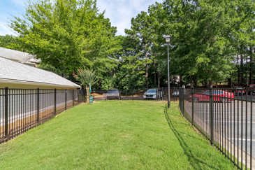Private off leash dog park
