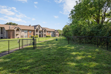 Off-leash dog park