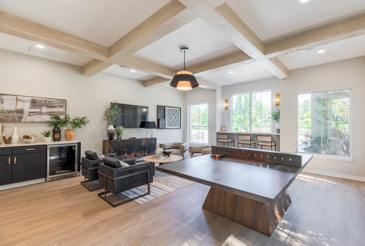 The Oasis - Game Room
