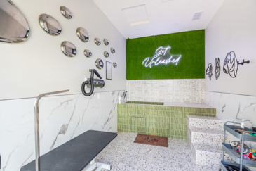 The Oasis - Pet Spa