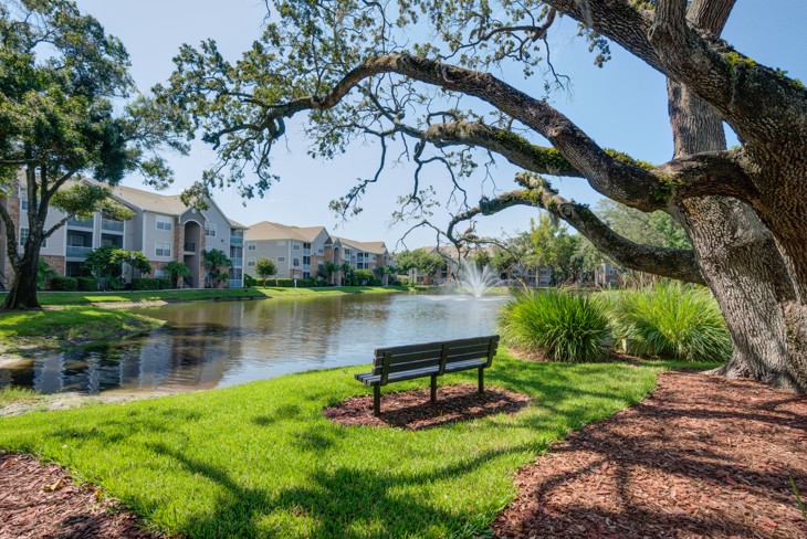 Rocky Creek Apartments | Tampa Apartments for Rent