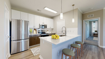 Talison Row at Daniel Island - Kitchen