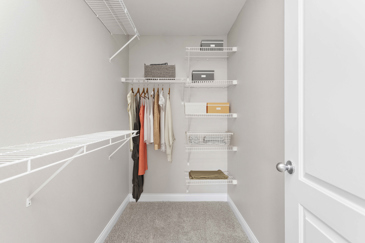 Autumn Breeze - Closet