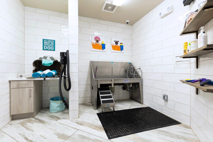 Pet spa with white tiled walls, open shelving, and a pet bath at Cyan Craig Ranch apartments
