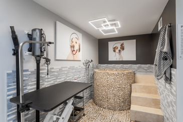 The Views of Music City - Pet Spa