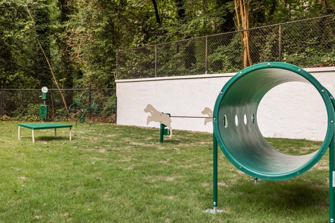A fully fenced dog park with equipment for your furry companion to play and exercise at Pointe at Canyon Ridge in Atlanta, GA.