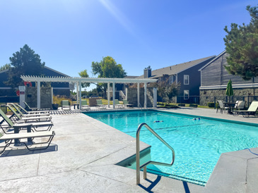 A serene pool surrounded by loungers for basking in the sun at Windrush.