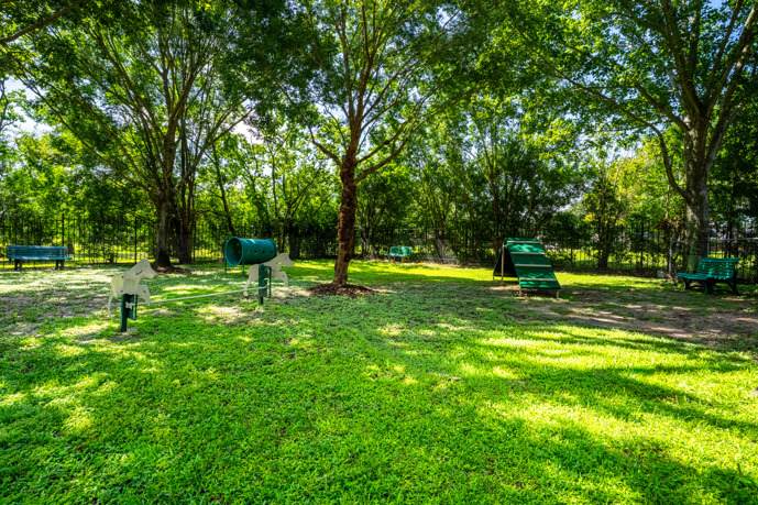 Waterford Place at Riata Ranch has a spacious fenced dog park surrounded by beautiful trees and equipped with everything a pup could need for outdoor fun.