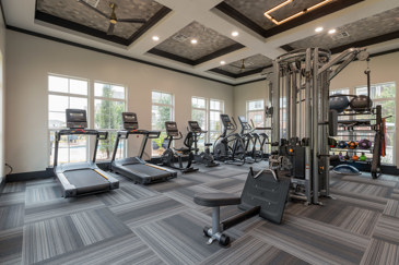 Newly renovated fitness center with free weights, smith machine and cardio equipment