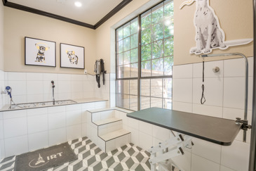 The Delano at North Richland Hills - Pet Spa