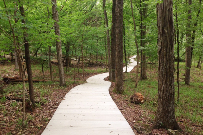 Walking Trail