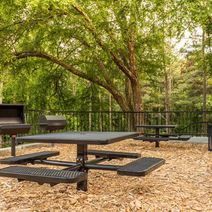 Wooded picnic area with charcoal grills and benches