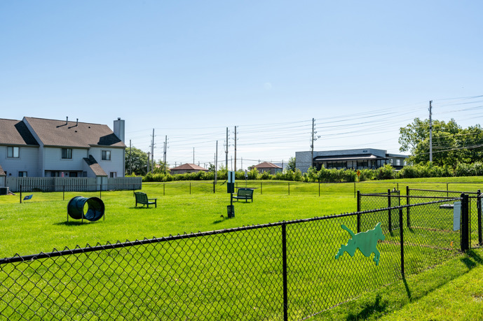 Outdoor grass dog park with ramps for dogs on a cloudy day in Indianapolis, IN 