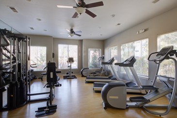 The Oasis - Fitness Center