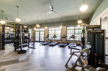 Stay strong, stay balanced—your wellness journey starts here